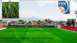Fifa 2 Star Certified Artificial Grass for Soccer Field