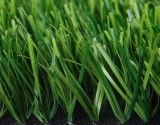 Synthetic/Artificial Grass for Football Field
