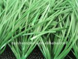 Artificial Grass for Soccer/Basketball Club (TMH50)