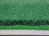 Synthetic Grass for Tennis (TFH12)