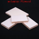 Melamine MDF