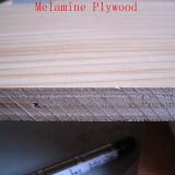 High Glossy Acrylic MDF Board for Furniture and Decoration with Price