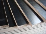 Black Film Faced Plywood Made in China