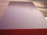 Red Film Faced Plywood