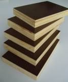 Banyans Film Faced Plwood/Construction Plywood