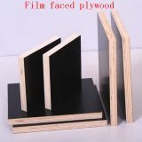 High Quality Shuttering Plywood