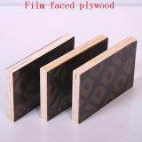 High Quality Different Logo with in Film Faced Plywood