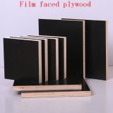 Waterproof Glue Film Faced Plywood