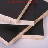 Mr WBP Glue Film Faced Plywood