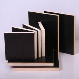 High Quality Film Faced Plywood with Competitive Cheap Price