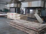 Plywood for Construction / Commercial Plywood