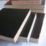 Film Faced Plywood / Shuttering Plywood