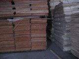 18mm Plywood / Container Plywood Flooring / Plastic Plywood