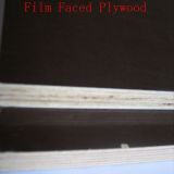 Film Faced Plywood / Commercial Plywood Banyans Group