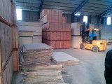 Marine Plywood / Okoume Plywood for Furniture and Decor Construction