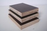 Commercial Plywood/ Veneer Plywood Shandong Linyi Producer