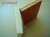 High Quality Plywood Board (1220*2440)