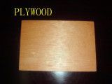 High Quality Wood Colour Plywood for Furniture and Decor