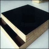 Phenolic Plywood (1220*2440mm/1830*2745mm)