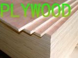 Plywood Sheets for Africa Market