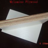 High Quality Plywood in Sale (1220*2440*2-25mm)