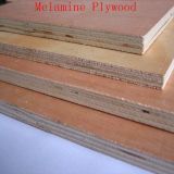 Plywood Board Price Sheet