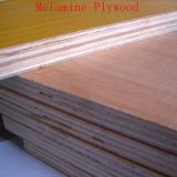 Melamine Plywood Poplar Core