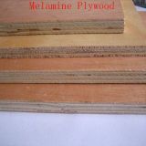 Hardwood Core Melamine Plywood (1220*2440*2-25mm)