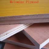 Marineplex Plywood
