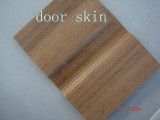 Melamine Door Skin /Door Skin Plywood/ MDF Door Skin