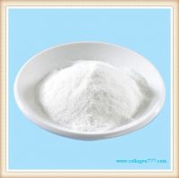 collagen peptide