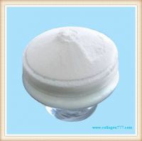 fish collagen peptide