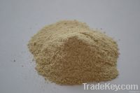 Dried oyster mushroom powder