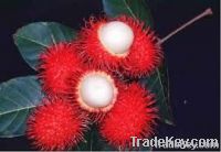 Rambutan