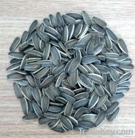 Sunflower seeds