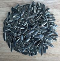 Sunflower seeds