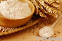 All pourpose Wheat Flour