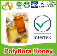 Organic pure polyflora honey