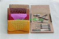offer wholesale price of manicure kits pedicure sets nail file nail art kits promotions gift