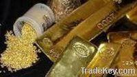 Gold/GOLD BARS