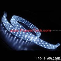 LED Rope Light, LED Decorative Lighting