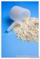 whey protein powder