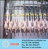 poultry slaughtering line in poultry slaughtering equipment