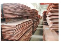 Copper  Cathode