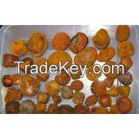 Ox gallstones 