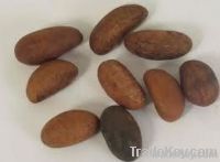 Kola Nuts