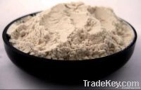 guar gum powder