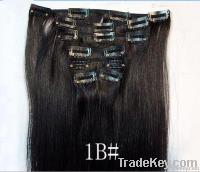 Brazilian virgin hair extension