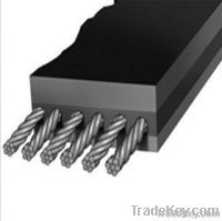 Steel Cord Conveyor Belt