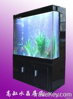 aquarium fish tanks in glass